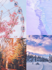 봄,여름,가을,겨울 (백합)