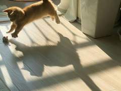 그렇게 된 이야기