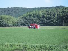 [하이큐드림/외전] 잔혹한 이나리자키 배구부 OB 여름휴가 (3)