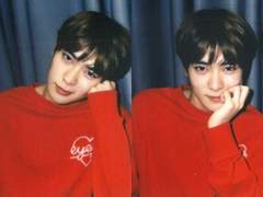 역하렘 센티넬에 수인물 한스푼 집착 두스푼 코미디 세스푼