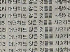 산란하는 기억들 사이에