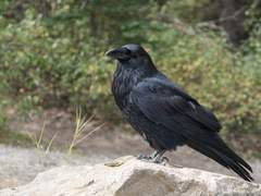 이야기. 그저 이야기.(2)