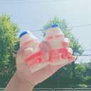 선샤인의 완벽한 나날