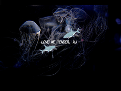 발렌타인 젤러시 이슈