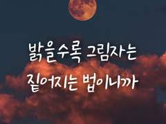 밝을수록 그림자는 짙어지는 법이니까