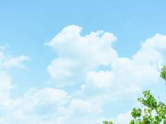 아이하라 하루 XX 18