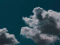 Aileen H. Ecarte/Revenclaw/혼혈