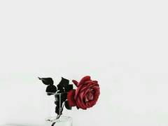 Chapter 2: Bread and Porridge