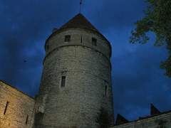 마들에슾으로 로맨틱 판타지2