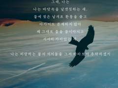 [3반(가이반)] 추락하는 새