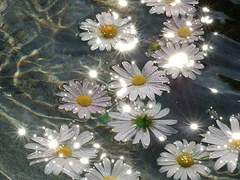 [현제유진] 유폐된 왕자 유진이와 황제가 될 성현제 2