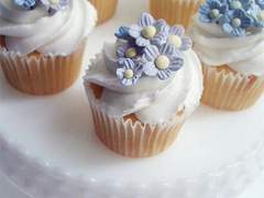 초콜릿이 싫어!