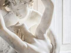 니에베 코넬 트라키아