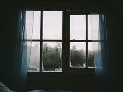 1차GL) 머리카락