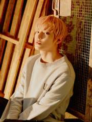 츤데레 늑대 수인 키우기