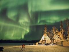 북극여우 관찰일기 23