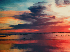 저 멀리 태양이 떠오르잖아.