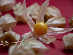 [필멸] 23시간 - 5. 본질을 드러내다(R15)