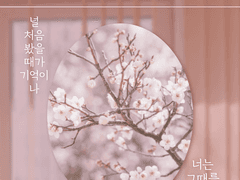 🌸첫인상 타입🌸