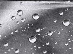 이즈미카와 세이지