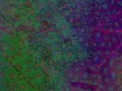 [다비시가] 신세기동경24시 中