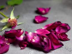 잘못 찍은 사진