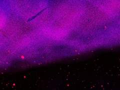 성호를 긋자 하늘에서 별들이 추락한다.