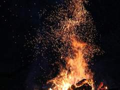 [아나오비]낙화(落火) 18화