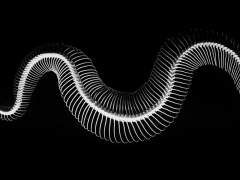 아디스 | 에르가 | XY | 29