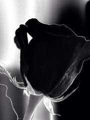 무언가의 결말 - 비극