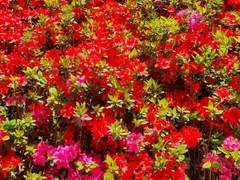 게으른 몽상가가 숨겨둔 첫번째 종잇조각