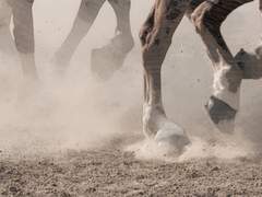 월하정인(月下情人) 13