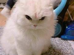 127막내 김여주 모먼트 EP.22