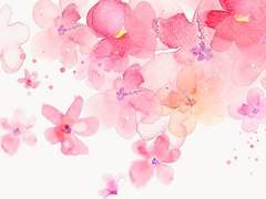 도화지몽(桃花之夢)