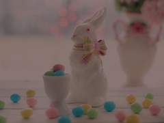 ✦유메니츠 유이타