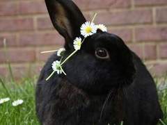 카게른 썰 (-210508)