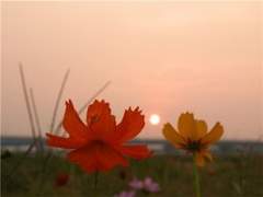 외롭지 않은 집 안