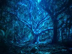 04. 보름달이 휘영청 밝은 밤