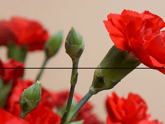 또 보내는 편지