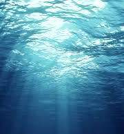 심해 속 옅은 울림