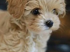 평화로운 평일?