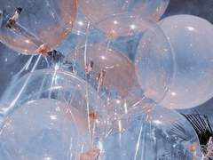 당신에게 알려주고 싶은 것.