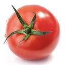 토마토