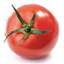 토마토