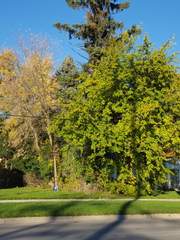 미드웨스트 러브스토리