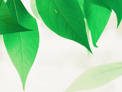 [ 백도영 / 남 / 이과 ]