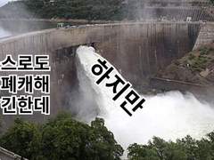 디노리오 타로 후기