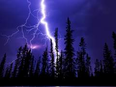 [현제유진]발은 언제나 심장이 있는 곳을 찾는다-0.