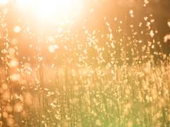 안서준_Xy_24 ﴾반짝거리는건 보석 뿐만이 아니잖아요! 2기﴿