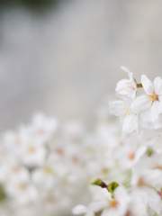 내가 너를 사랑한 그날(完)